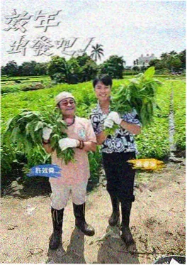 明星大侦探